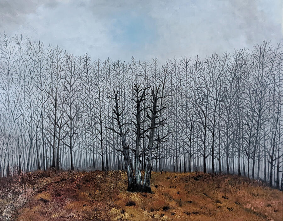 Stéphane Richard-Art